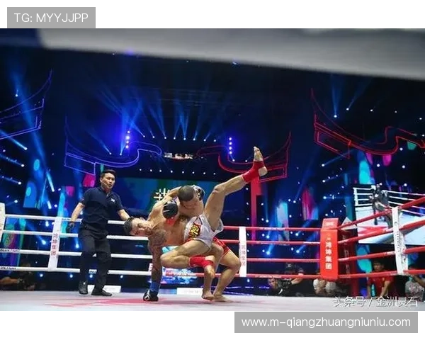 法国悍将贝诺伊特·圣·丹尼斯首回合16秒KO本尼尔·大流士 法国悍将贝诺伊特·圣·丹尼斯首回合16秒KO本尼尔·大流士